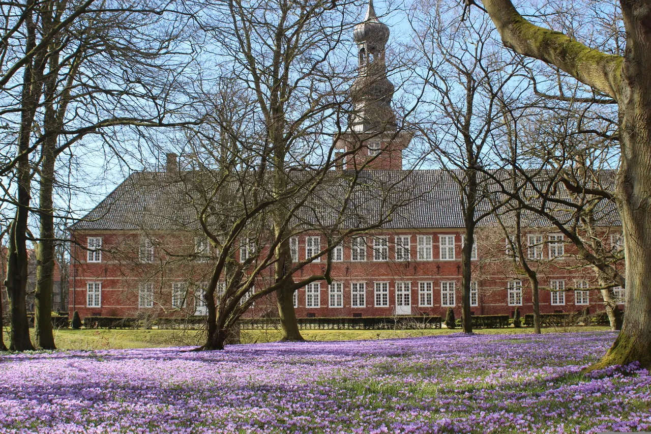 Krokusblüte im Husumer Schlosspark, dahinter das Schloss vor Husum
